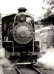 trem.mf.01.jpg